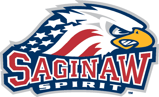 Saginaw Spirit 2002-pres primary logo iron on transfers for T-shirts